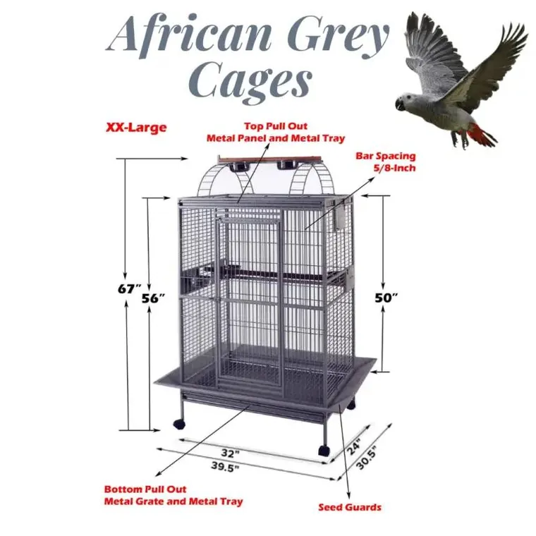 Annotated diagram of an extra-large African Grey cage showing height, width, depth, bar spacing and seed-guard dimensions