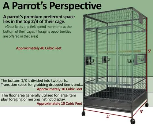 A parrot's perspective of cage zones: the top two-thirds is premium resting and activity space, the bottom third is for foraging