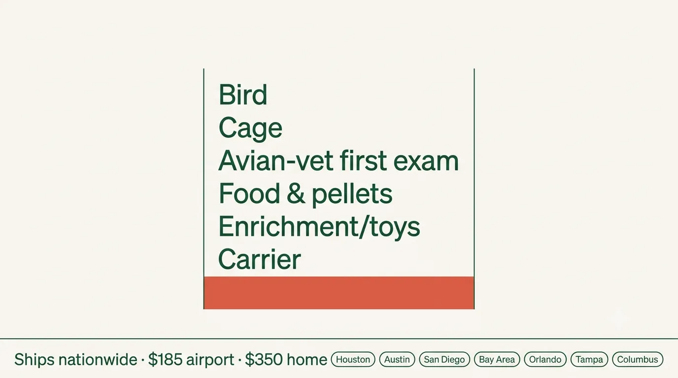 African grey vs amazon parrot price and first-year cost breakdown: bird, cage, avian vet, food and enrichment, with $185 airport and $350 home shipping