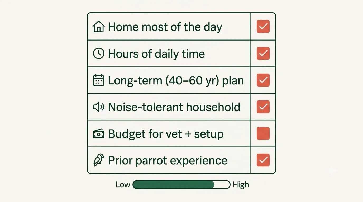 A self-assessment scorecard for deciding if an African Grey is right for you, six readiness questions with a meter