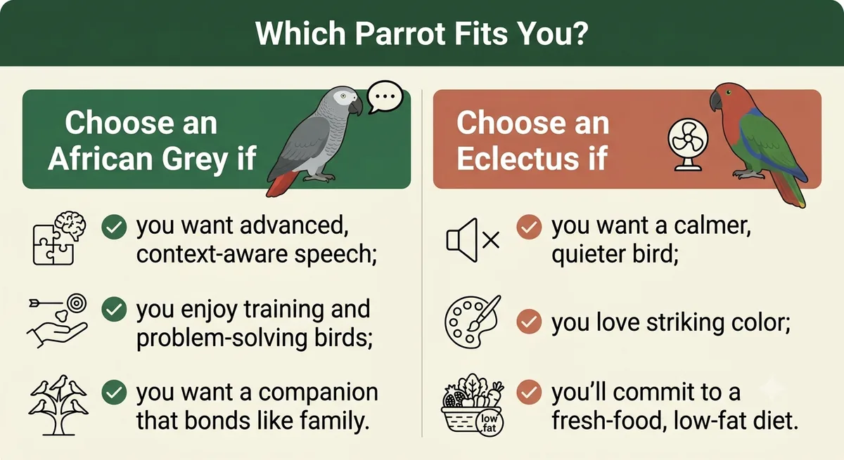 Which parrot fits you: choose an African Grey for speech, training and bonding; choose an Eclectus for a calmer, quieter, colourful bird and a fresh-food diet