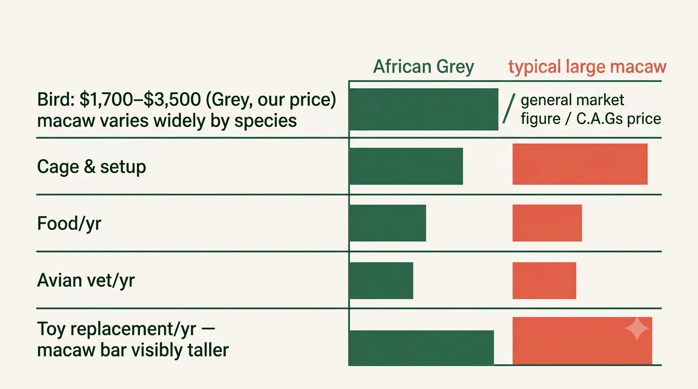 Cost breakdown comparing an African Grey's purchase price and first-year budget against a macaw's larger cage, food and toy-replacement costs