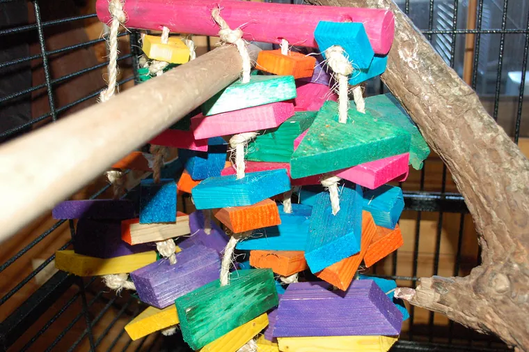 A colorful wooden block chew toy hanging inside an African Grey cage