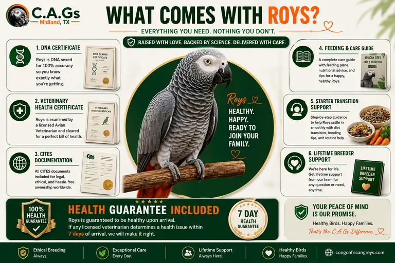 What's included with Roys — documentation package, care guide, and support from C.A.Gs