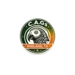 C.A.Gs — Congo African Greys, Midland TX