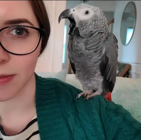 An African Grey with its owner — the relationship behind what a documented grey really costs