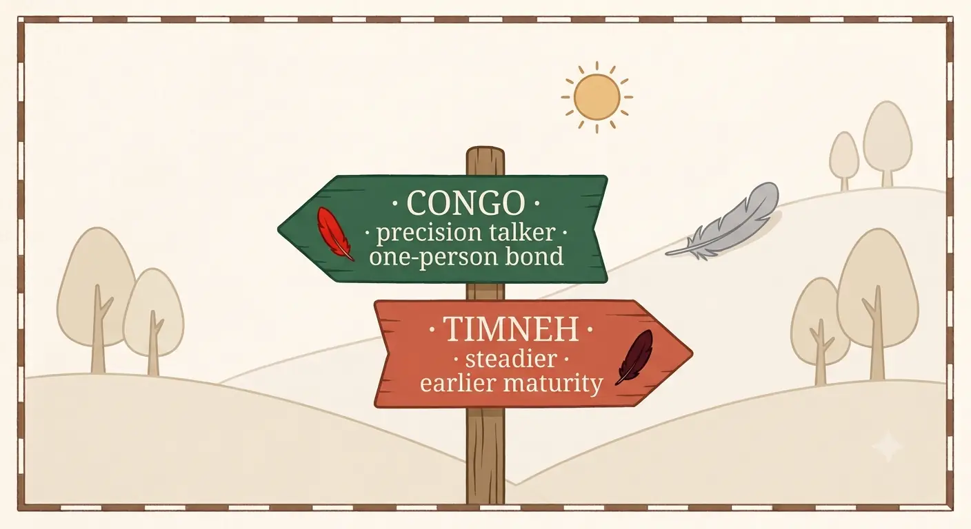 Signpost infographic summarizing the Congo or Timneh decision: choose a Congo for precision talking and a deep one-person bond, choose a Timneh for earlier maturity and family-wide bonding