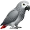 Congo African Grey icon