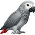 Congo African Grey icon