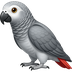 Timneh African Grey icon