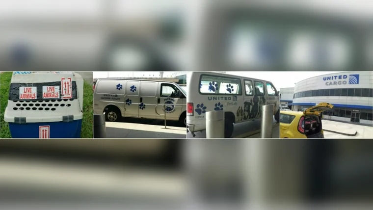 A climate-controlled courier fleet at the terminal, the door-to-door route for a two-bird booking