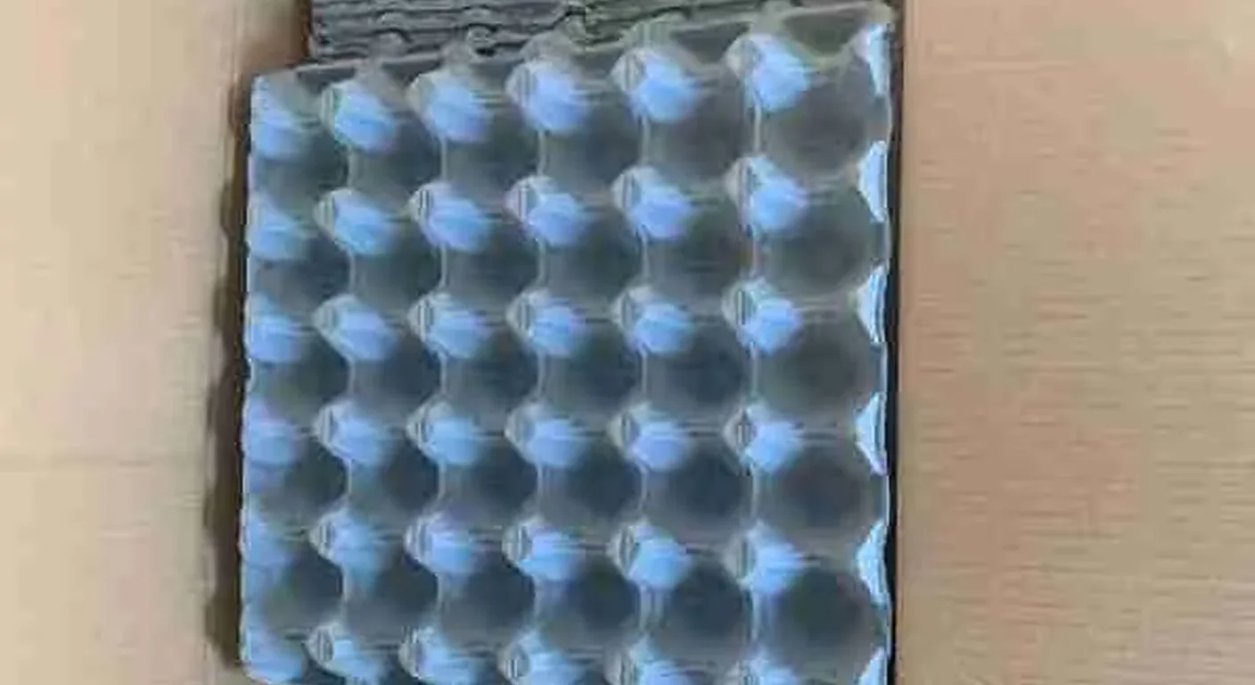 Protective egg-carton flats packed in a shipping box for parrot eggs