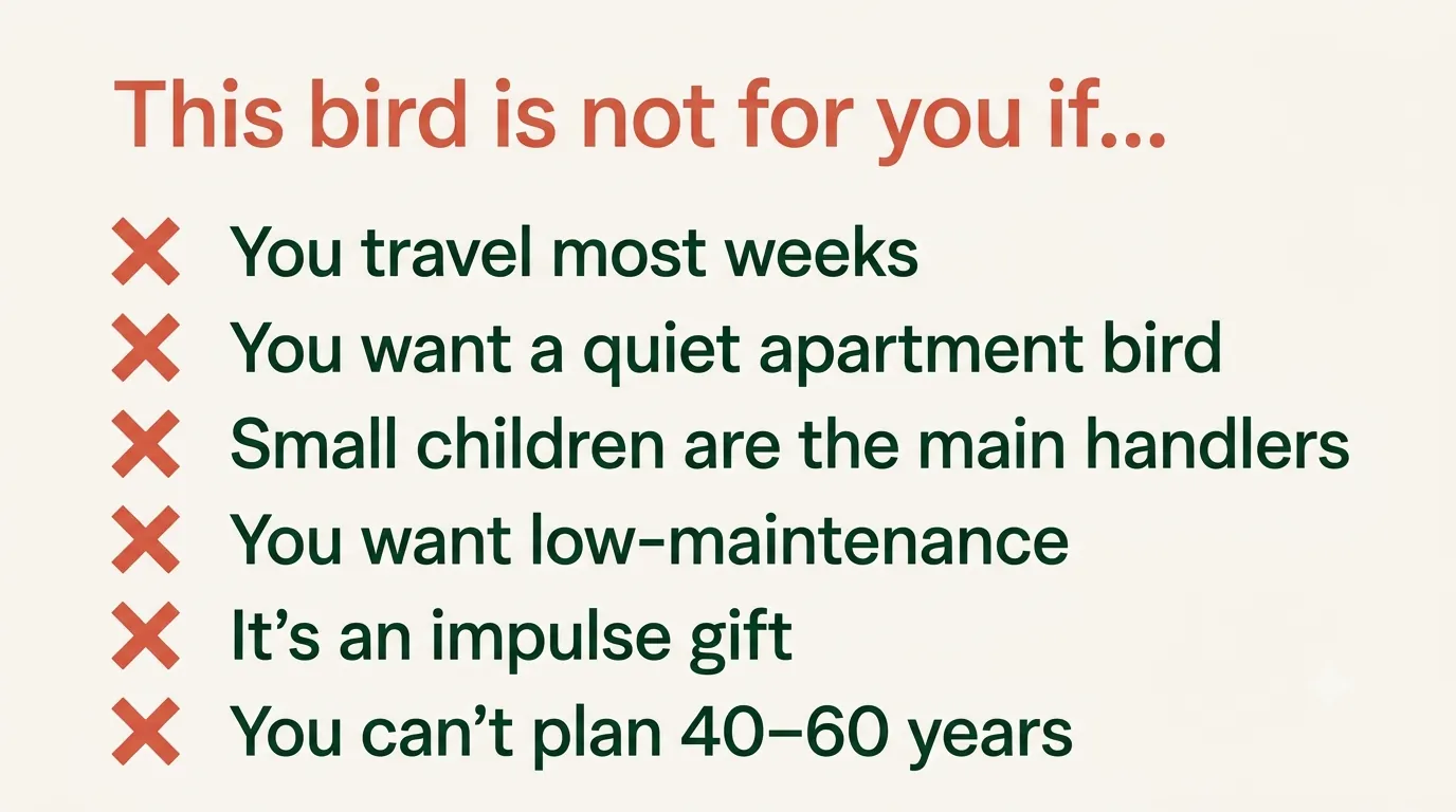 A who-should-not-own-an-African-Grey checklist of honest disqualifiers for prospective owners